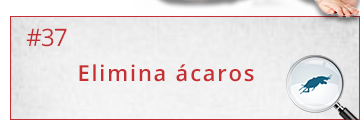 Saiba como proteger sua casa dos ácaros!